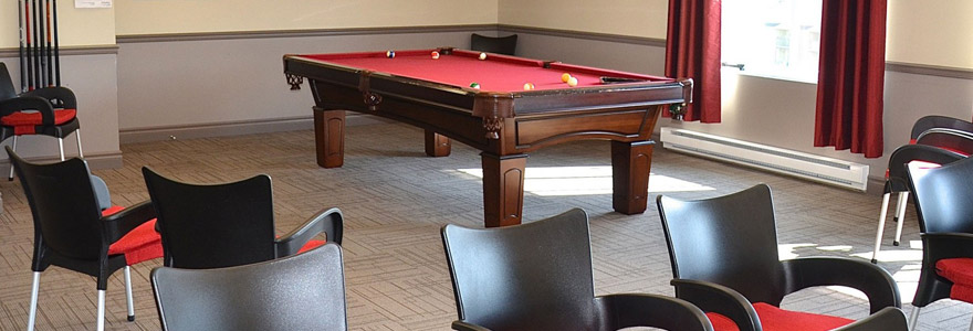 déménagement tables de billard 